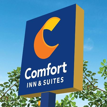 Comfort Inn & Suites Savannah Exterior foto